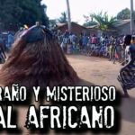 🌍🙏 Descubre los fascinantes ritos africanos religiosos: una ventana a una rica tradición ancestral 🌍🙏